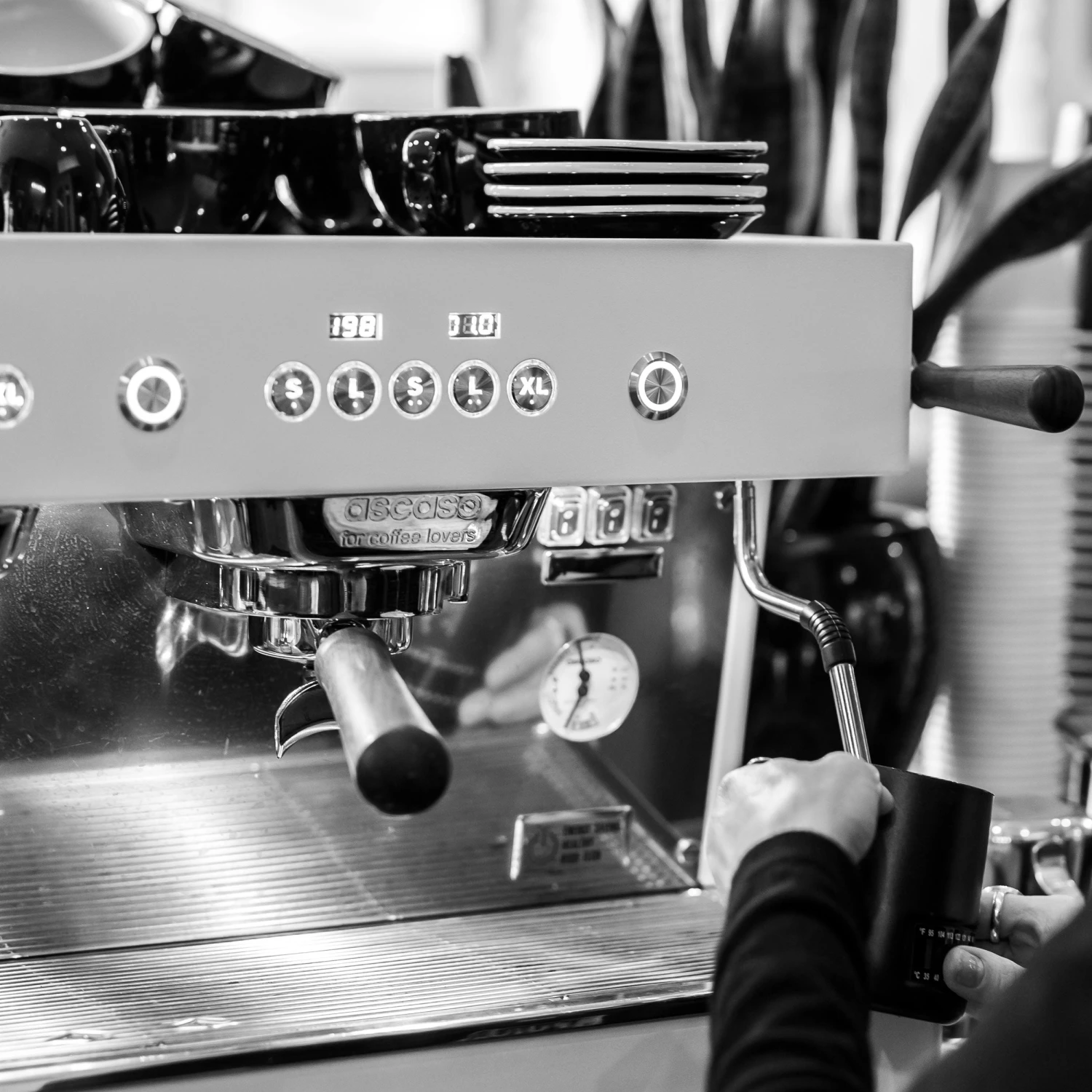 Ascaso Barista T Plus, Automatic 2 Group Espresso Machine, With Thermodynamic Technology (Inox) 2 Ascaso Barista T Plus, Automatic 2 Group Espresso Machine, With Thermodynamic Technology (Inox) - Image 2